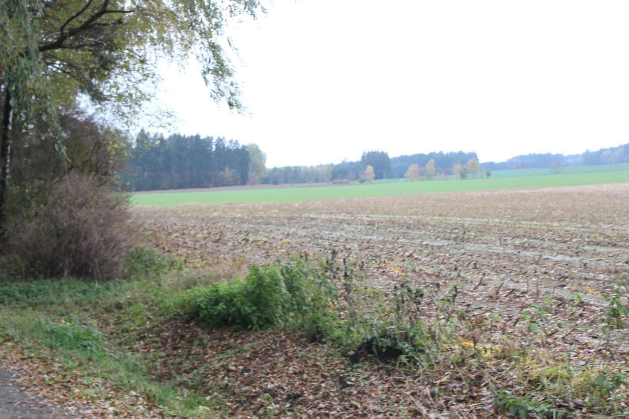 Zumseehoernchen Haus Schmetterling Tanna Zewnętrze zdjęcie