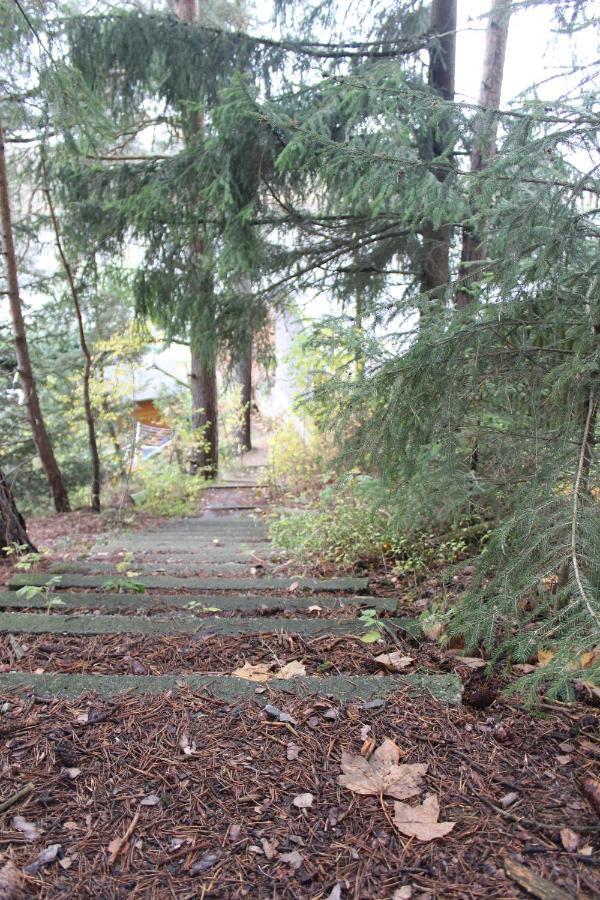 Zumseehoernchen Haus Schmetterling Tanna Zewnętrze zdjęcie