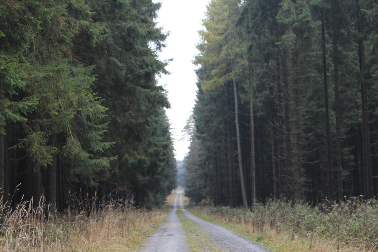 Zumseehoernchen Haus Schmetterling Tanna Zewnętrze zdjęcie