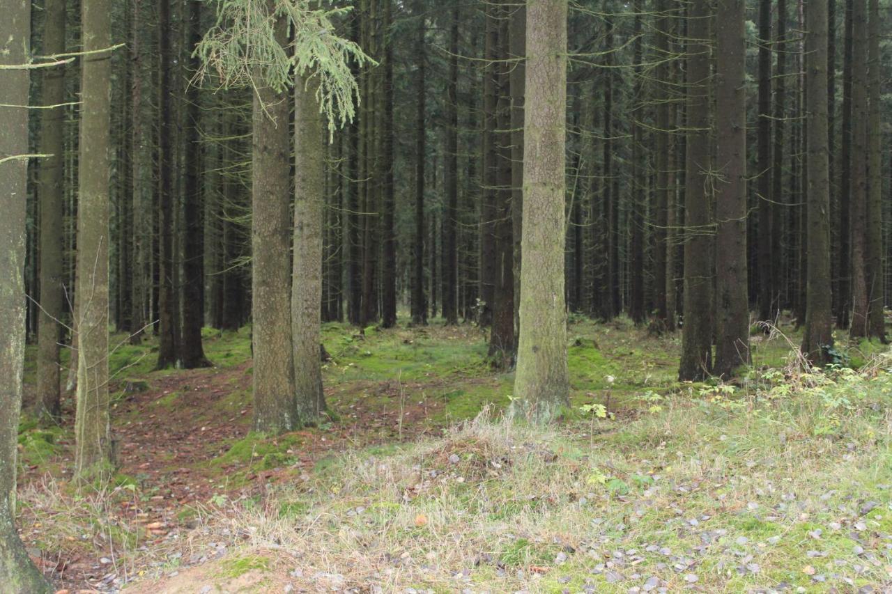 Zumseehoernchen Haus Schmetterling Tanna Zewnętrze zdjęcie